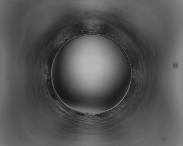 X0000097760752200803071254