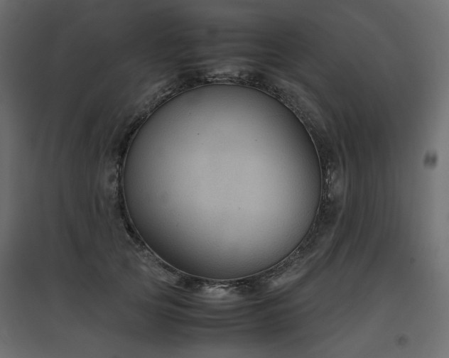 X0000097760753200803071254