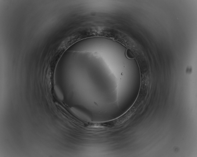 X0000097760754200803071254