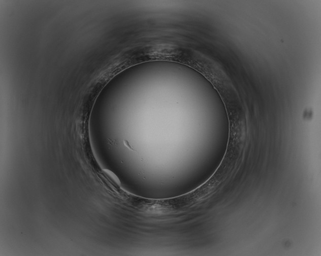 X0000097760755200803071254