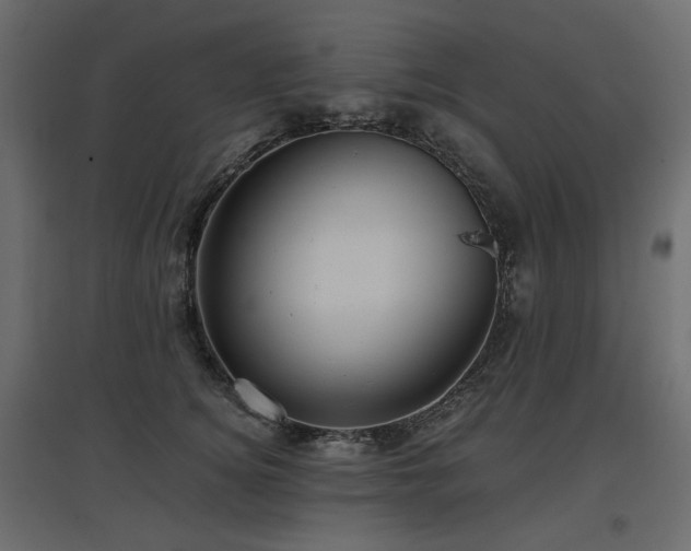 X0000097760756200803071254