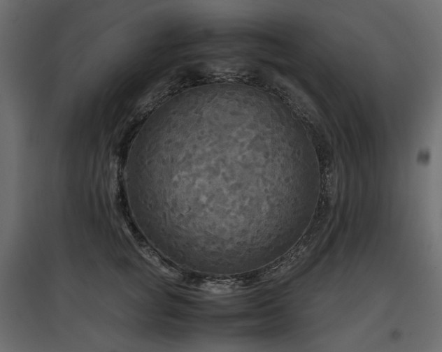 X0000097760757200803071254