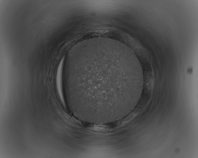 X0000097760758200803071254