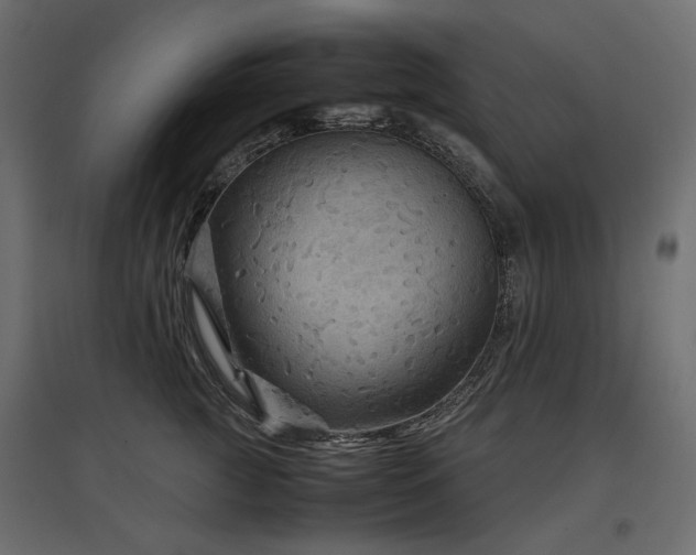 X0000097760761200803071254