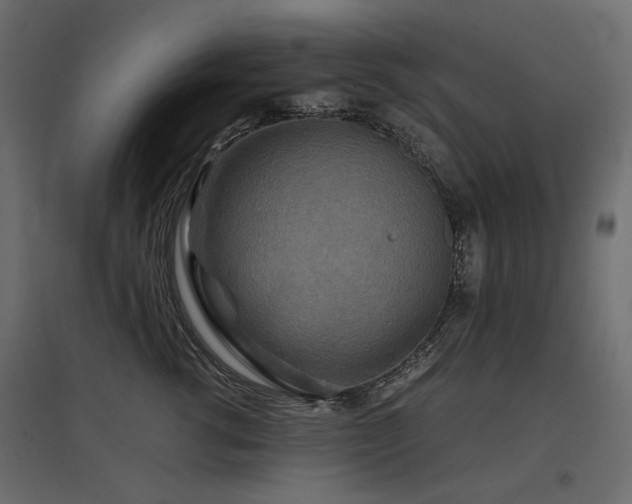 X0000097760762200803071254