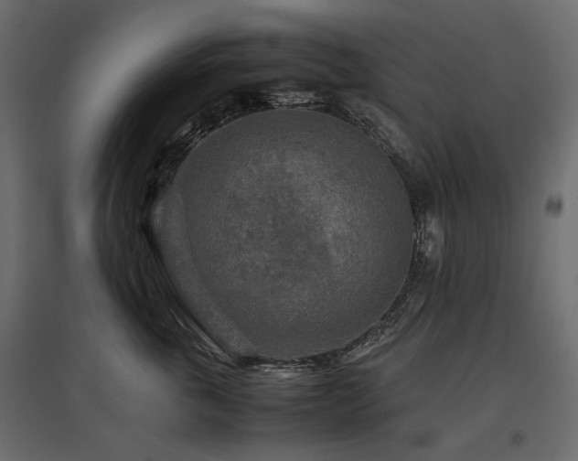 X0000097760763200803071254