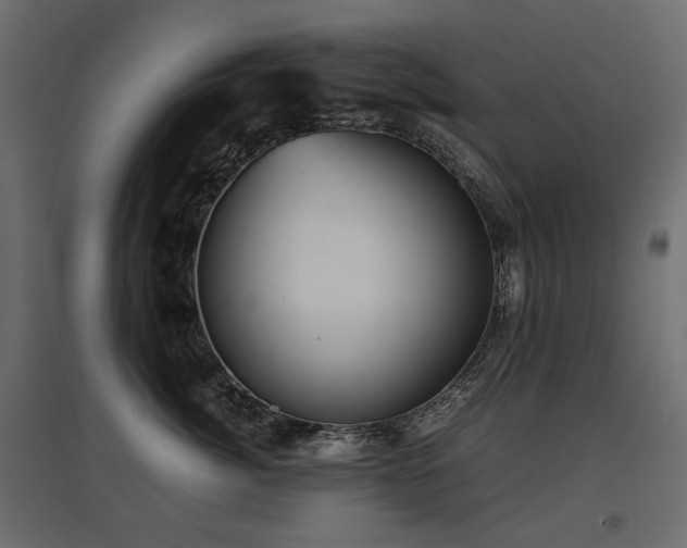 X0000097760764200803071254