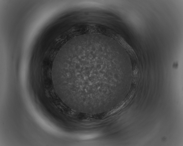 X0000097760765200803071255