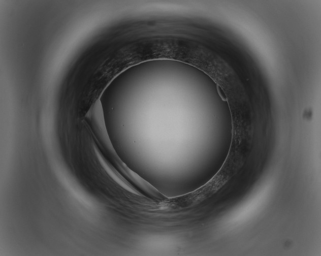 X0000097760766200803071255