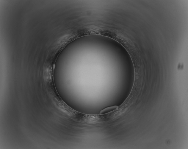 X0000097760768200803071255