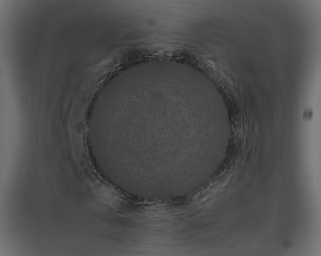 X0000097760769200803071254