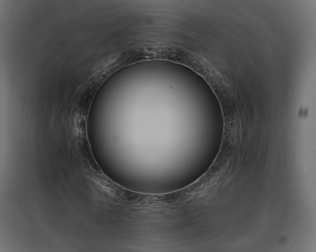 X0000097760770200803071254