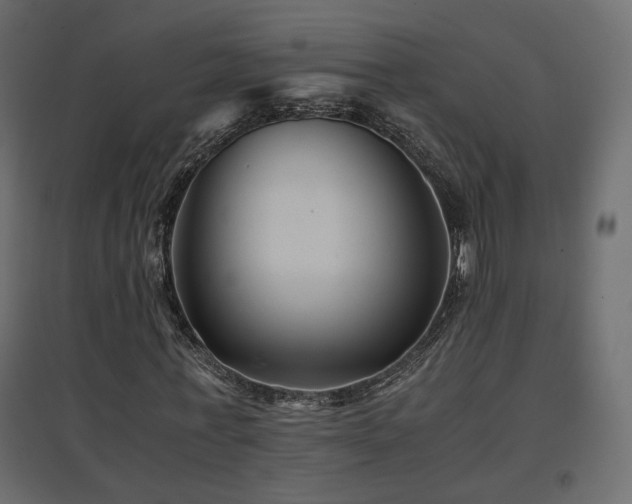 X0000097760771200803071254