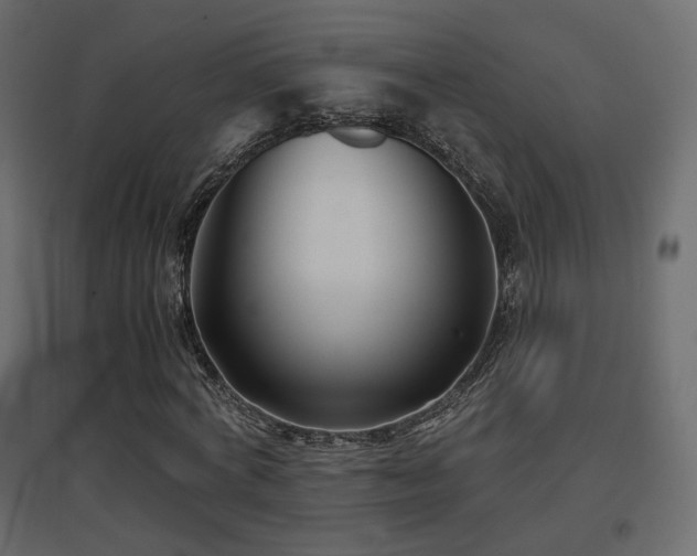 X0000097760772200803071254