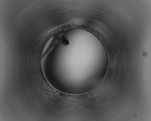 X0000097760773200803071254