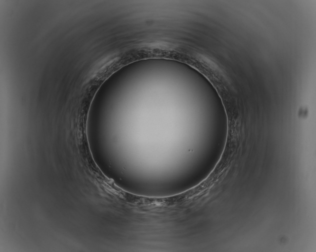 X0000097760774200803071254