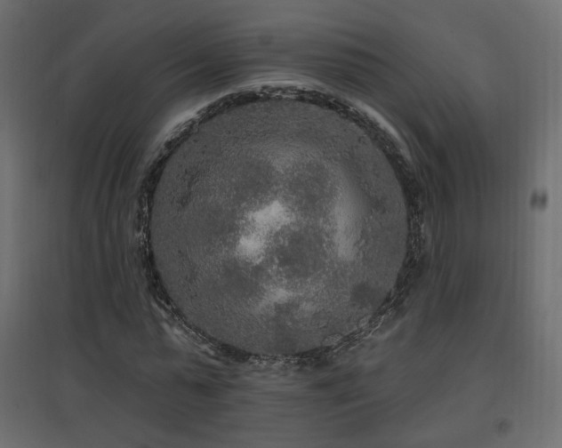 X0000097760775200803071254