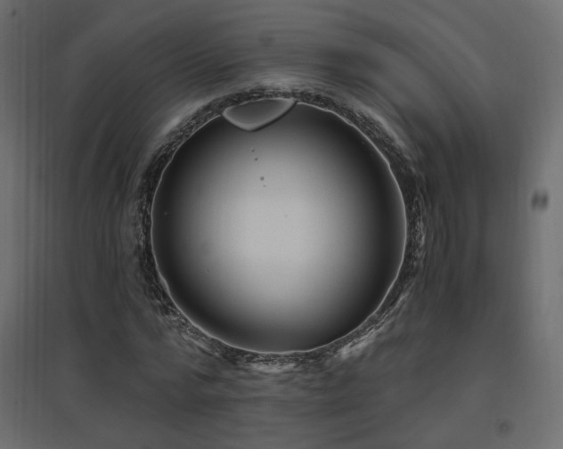 X0000097760776200803071254