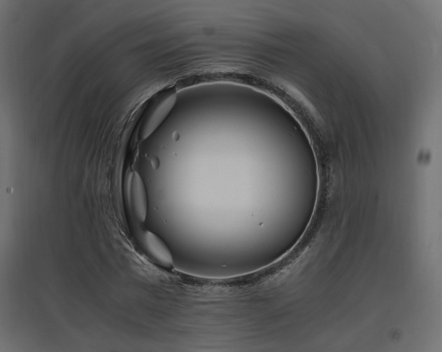 X0000097760777200803071254