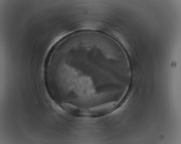 X0000097760779200803071254