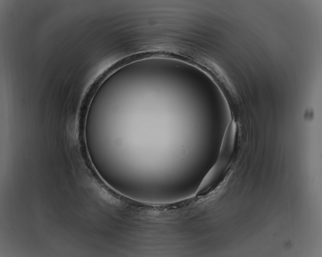 X0000097760780200803071254