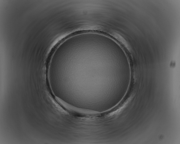 X0000097760781200803071254