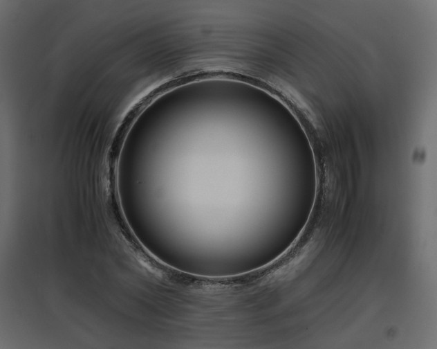 X0000097760782200803071254