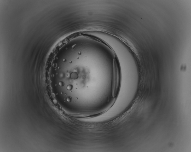 X0000097760784200803071254