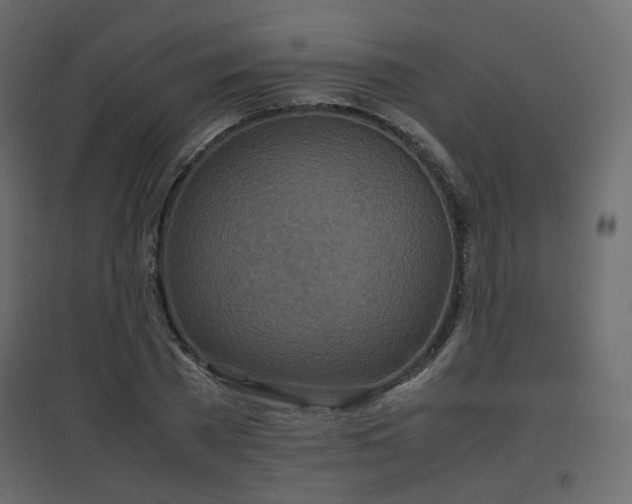 X0000097760785200803071254