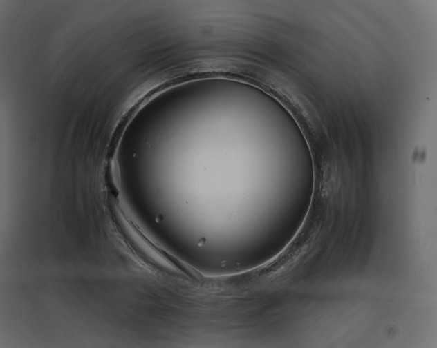 X0000097760786200803071254