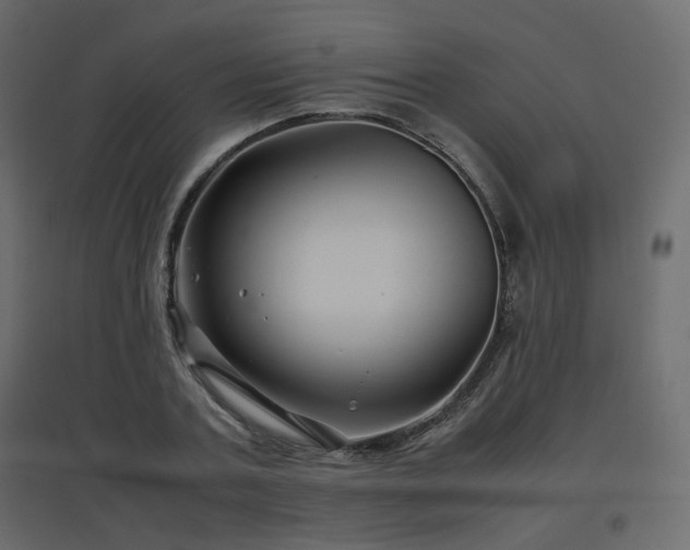 X0000097760787200803071254