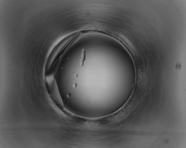 X0000097760788200803071254