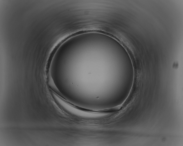 X0000097760789200803071254