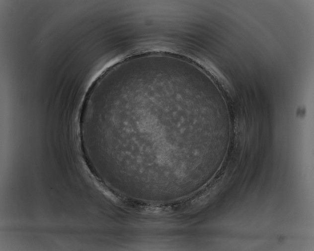 X0000097760790200803071254