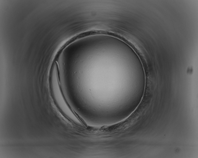 X0000097760791200803071254