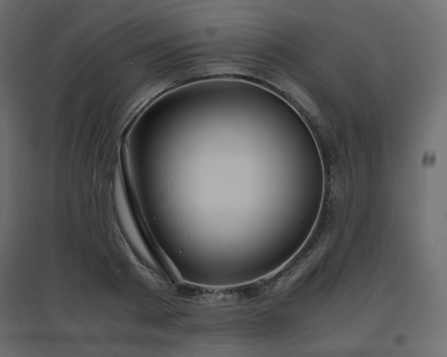 X0000097760793200803071254