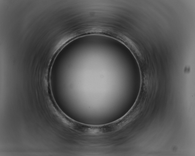 X0000097760794200803071254