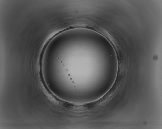 X0000097760795200803071253