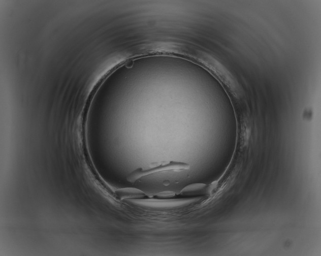 X0000097760798200803071253