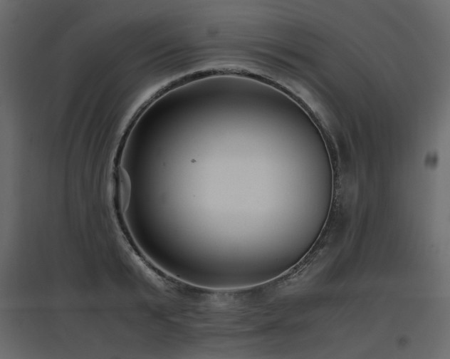 X0000097760799200803071253