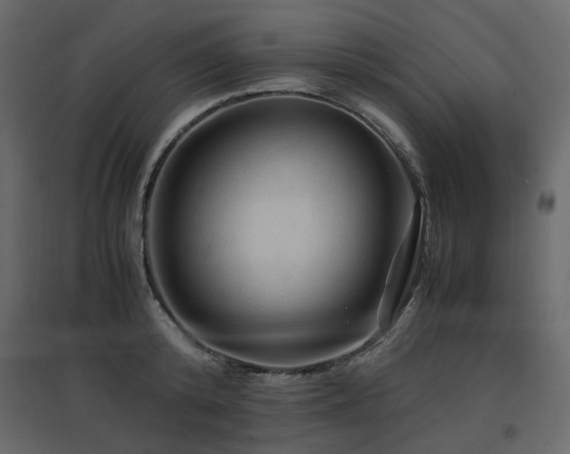 X0000097760800200803071253