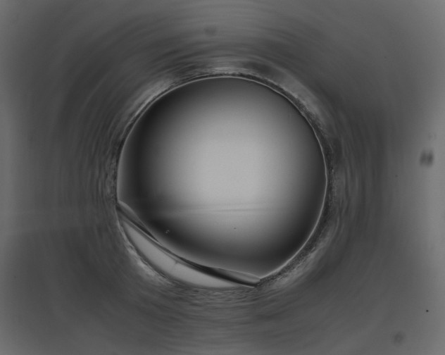 X0000097760801200803071253