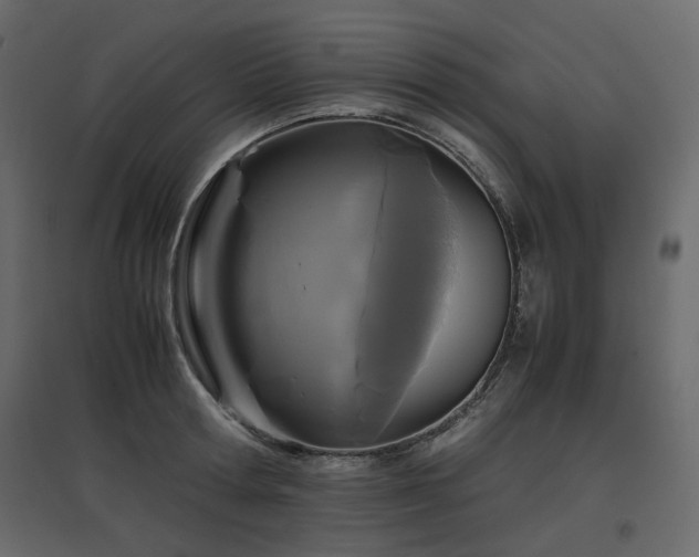 X0000097760802200803071253