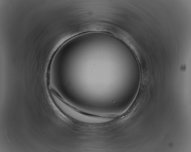 X0000097760803200803071253