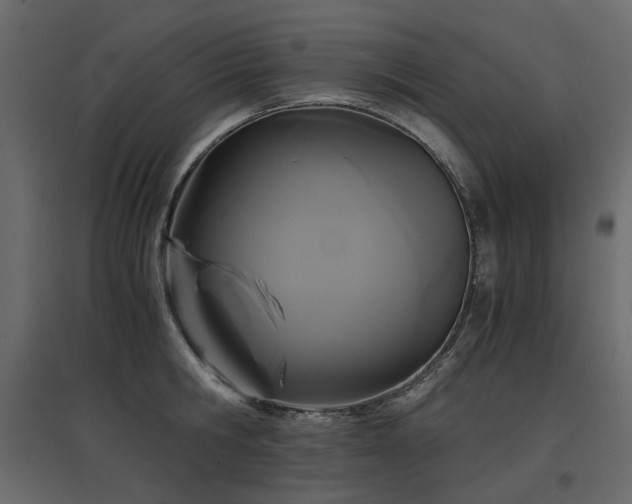 X0000097760806200803071253