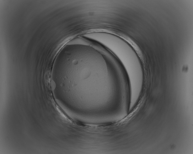 X0000097760809200803071253