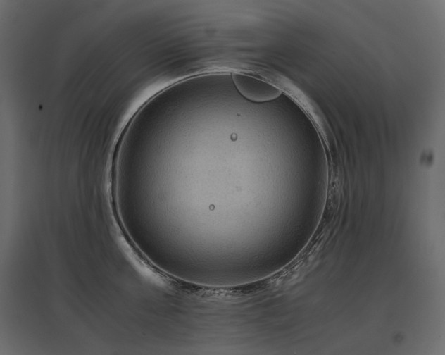 X0000097760811200803071253