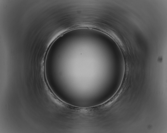 X0000097760814200803071253