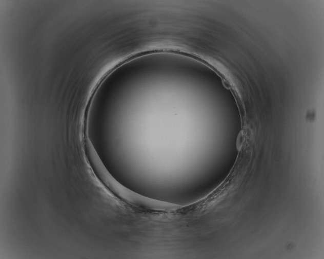 X0000097760815200803071253