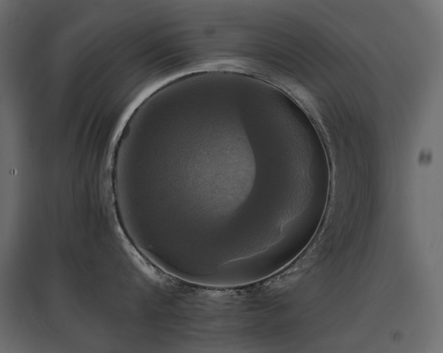 X0000097760816200803071253